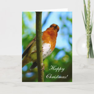 CHRISTMAS ROBINS HOLIDAY CARD