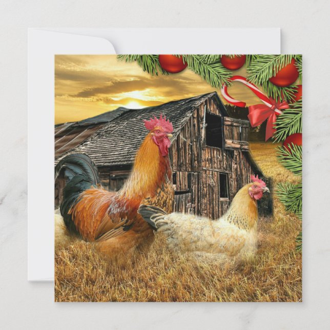 Christmas Rooster Hen Barn Coop Farm Holiday Card (Front)