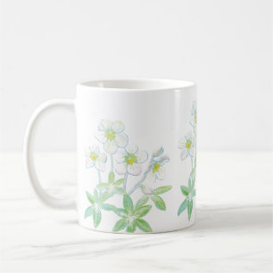 Christmas rose, Helleborus niger  Coffee Mug