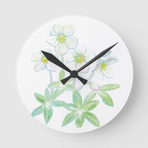 Christmas rose, Helleborus niger Illustration Round Clock
