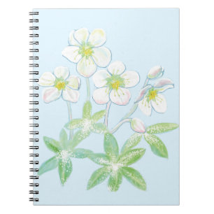 Christmas rose, Helleborus niger Notebook