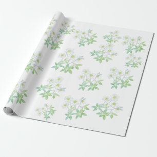 Christmas rose, Helleborus niger   Wrapping Paper