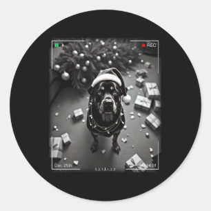 Christmas Rottweiler Caught On Camera  Classic Round Sticker