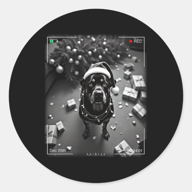 Christmas Rottweiler Caught On Camera  Classic Round Sticker (Front)