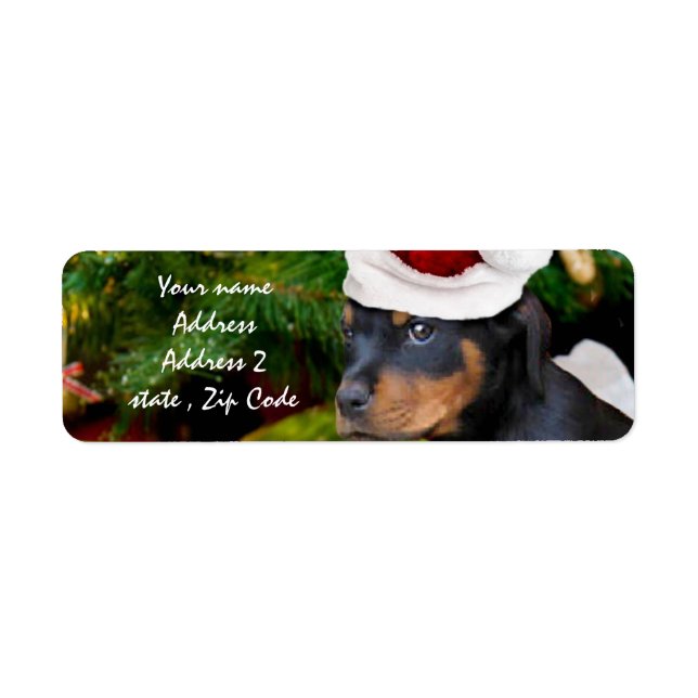 Christmas Rottweiler puppy Return Address Label (Front)