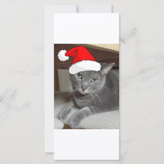Christmas Russian Blue Grey Cat (Front)