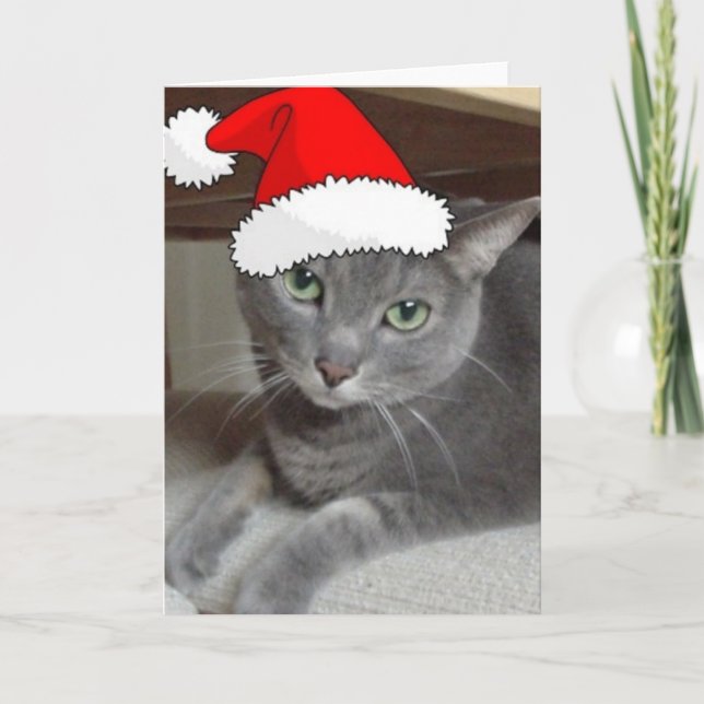 Christmas Russian Blue Grey Cat Holiday Card (Front)