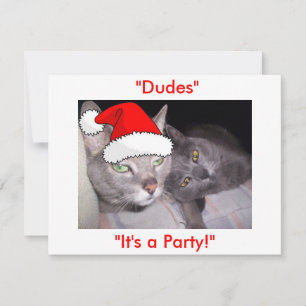Christmas Russian Blue Grey Cats Holiday Card