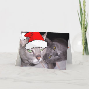 Christmas Russian Blue Grey Cats Holiday Card