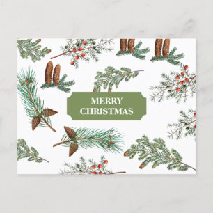 Christmas Rustic Conifers Pine Merry Christmas Holiday Postcard