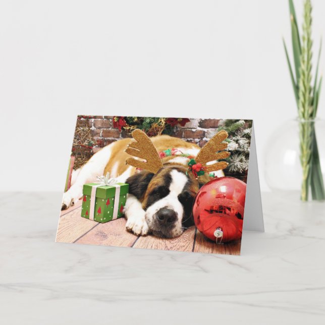 Christmas - Saint Bernard - Blue Holiday Card (Front)