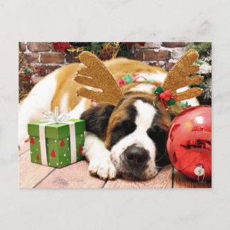 Christmas - Saint Bernard - Blue Holiday Postcard