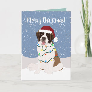 Christmas Saint Bernard  Card