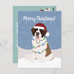 Christmas Saint Bernard Postcard