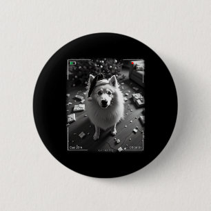 Christmas Samoyed Caught On Camera  6 Cm Round Badge