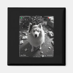 Christmas Samoyed Caught On Camera Magnet