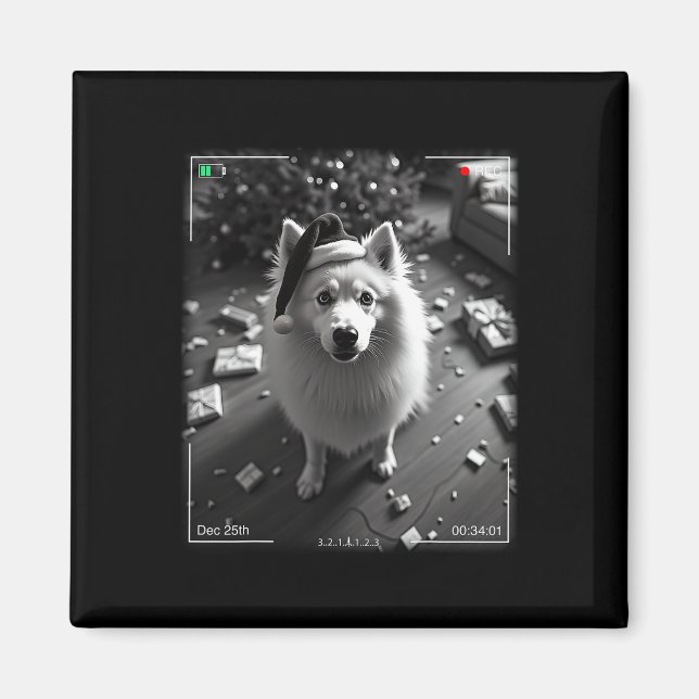 Christmas Samoyed Caught On Camera  Magnet (Front)