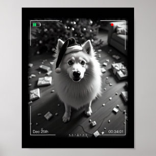 Christmas Samoyed Caught On Camera  Poster