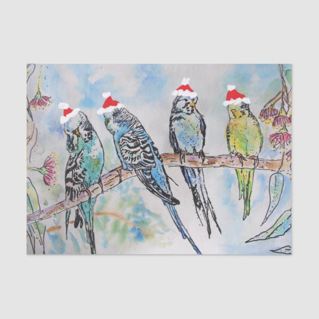 Christmas Santa Budgies Budgerigar Bird Card Tissue Paper (Front)