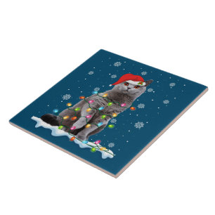 Christmas Santa Cat British Shorthair Cat Lover Ceramic Tile