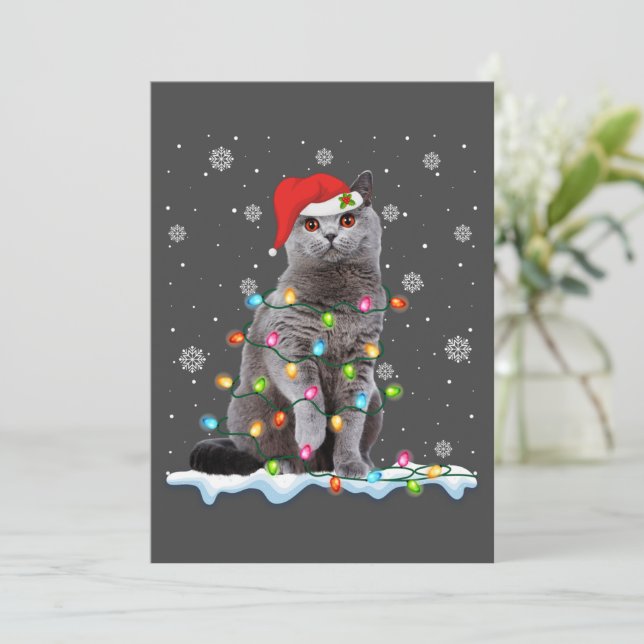 Christmas Santa Cat British Shorthair Cat Lover Holiday Card (Standing Front)