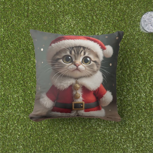 Christmas Santa cat cushion (Grass)
