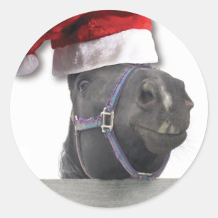 Christmas Santa Hat Horse Classic Round Sticker