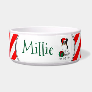 Christmas Santa Hat Papillon (tri-colour) Dog Cute