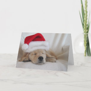 Christmas Santa Hat Pup Holiday Card