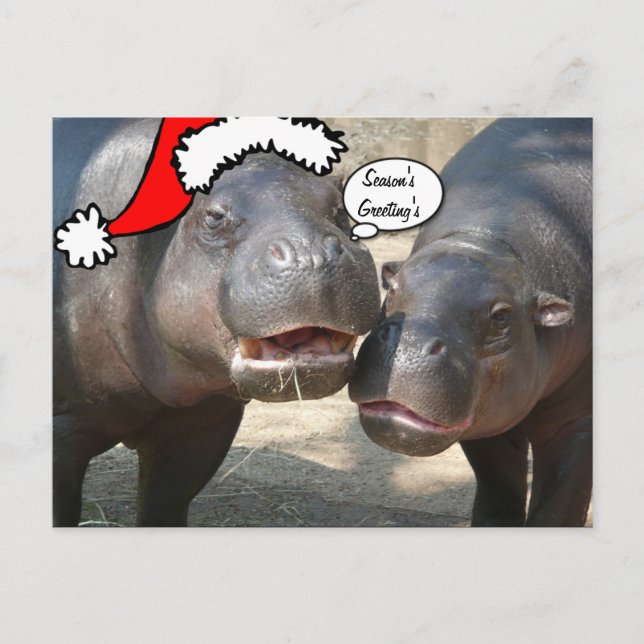 Christmas Santa Hippo postcard (Front)