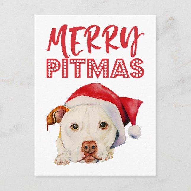 Christmas Santa Pit Bull Dog | Merry Pitmas Holiday Postcard (Front)