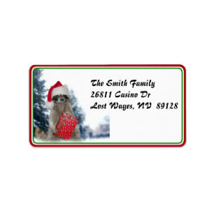Christmas Santa Racoon Bandit Label