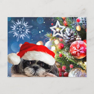 Christmas Santa Shih Tzu Postcard