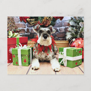 Christmas - Schnauzer - Petunia Holiday Postcard