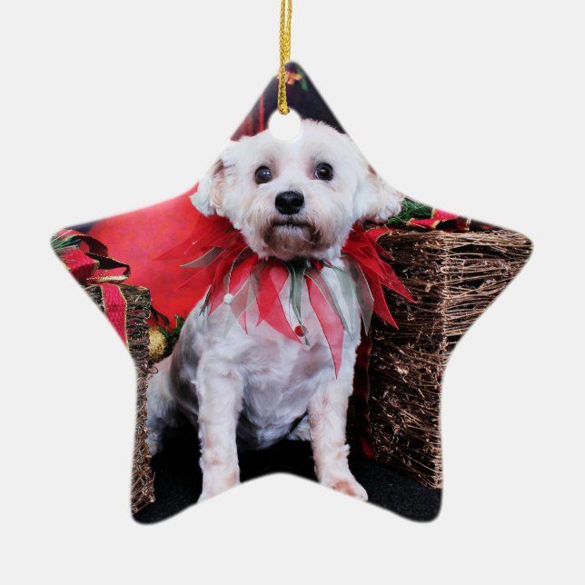 Christmas - Schnoodle - Zoey Ceramic Tree Decoration (Front)