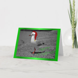 Christmas seagull santa hat funny Christmas humour Holiday Card