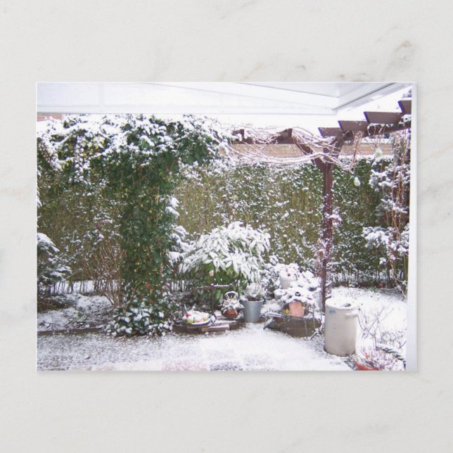 Christmas Season, Snow in the garden Holiday Postcard (Front)