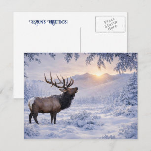 Christmas Seasons Greeting Elk Snow Holiday Postcard
