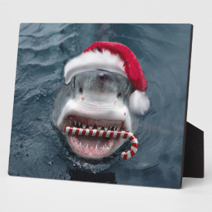 Christmas Shark Plaque
