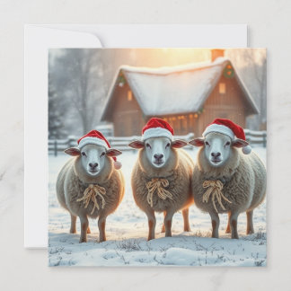 Christmas Sheep Holiday Card