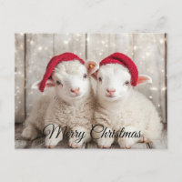 Christmas Sheep