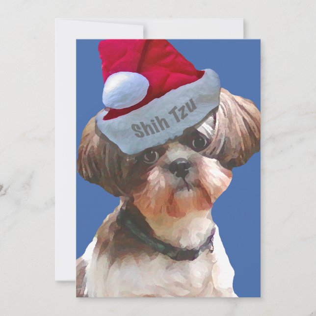Christmas Shih Tzu 10 pk  Cards (Front)