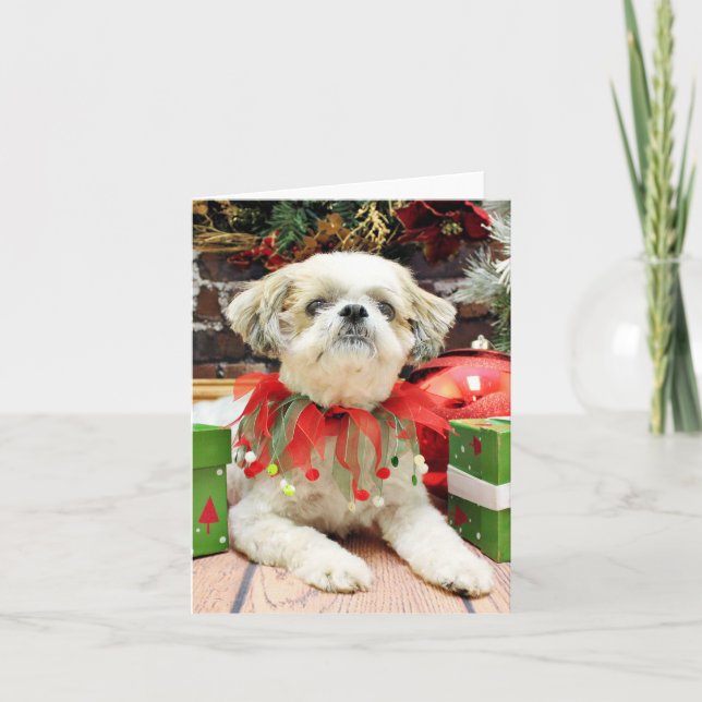 Christmas - Shih Tzu - Bailey Holiday Card (Front)