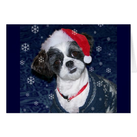 Christmas Shih Tzu Dog Card