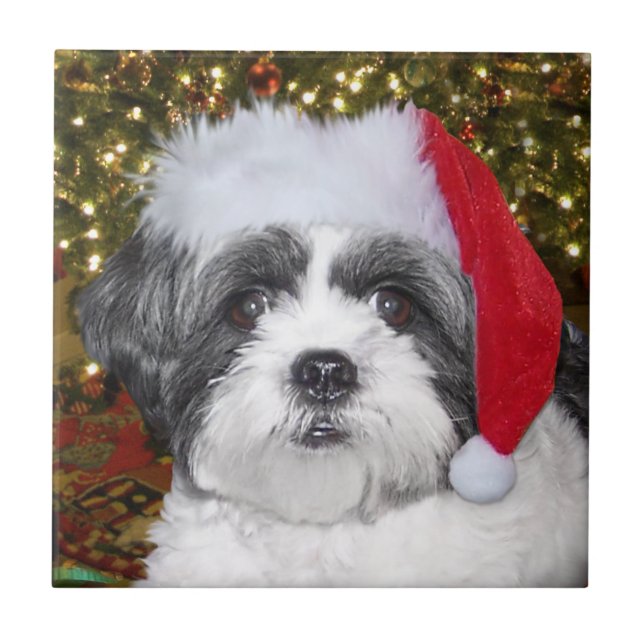 Christmas Shih Tzu Dog Ceramic Tile (Front)