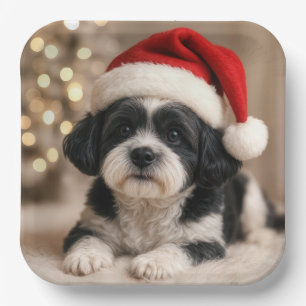 Christmas Shih Tzu Dog With Santa Hat Paper Plate