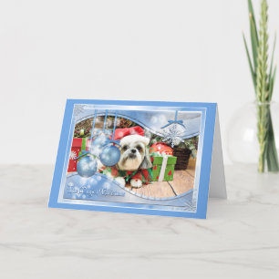 Christmas - Shih Tzu - Gizmo Holiday Card