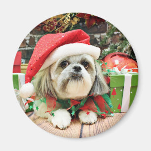 Christmas - Shih Tzu - Gizmo Magnet