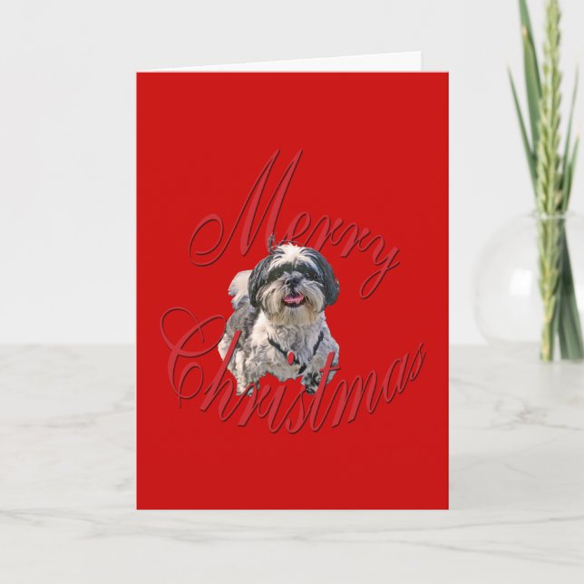 Christmas Shih Tzu Holiday Card (Front)