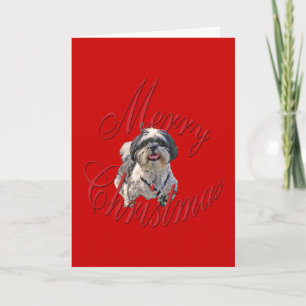 Christmas Shih Tzu Holiday Card